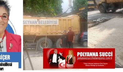 Saygın ve Sevilen Muhtar Nevin BİÇER Müjdeledi; “Seyhan Belediyesi yol ekipleri Kurtuluş mahallemizde ki bozuk parke taşların onarımına başladı Mahallelimizin Bilgisine…”